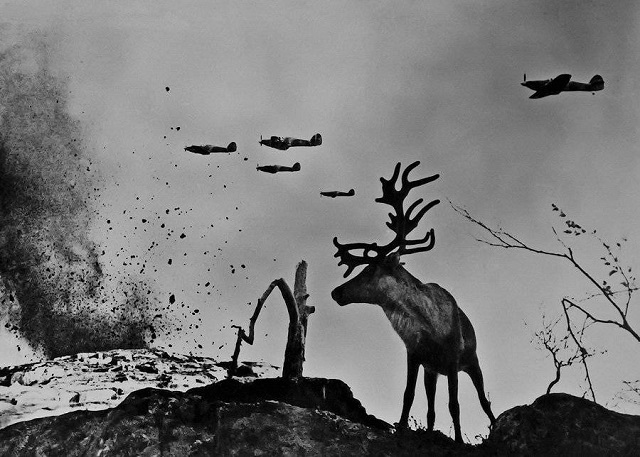История фотографии История фотографии