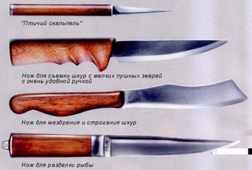 Как правильно выбрать нож для охоты?